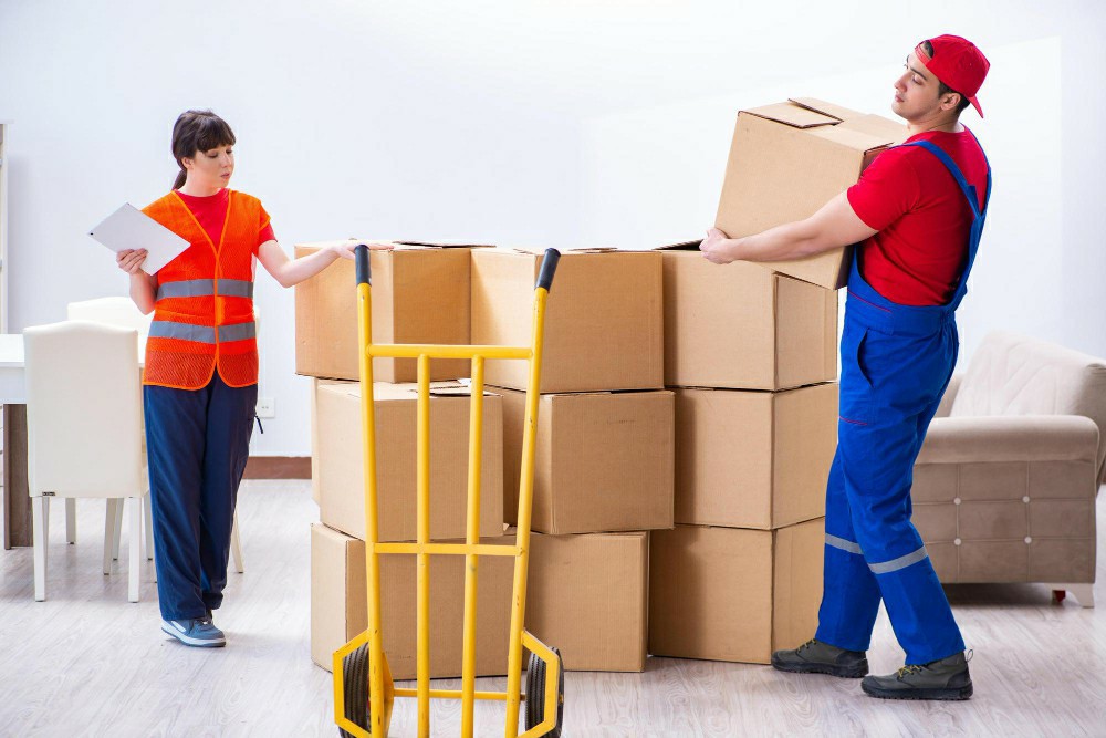 Essential Guide to Achieving a First Aid Certificate Online in Ireland - First Aid Training Article